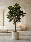 Kunst eikenboom ISABELLE 210cm in ronde plantenpot – Atelier Leafs