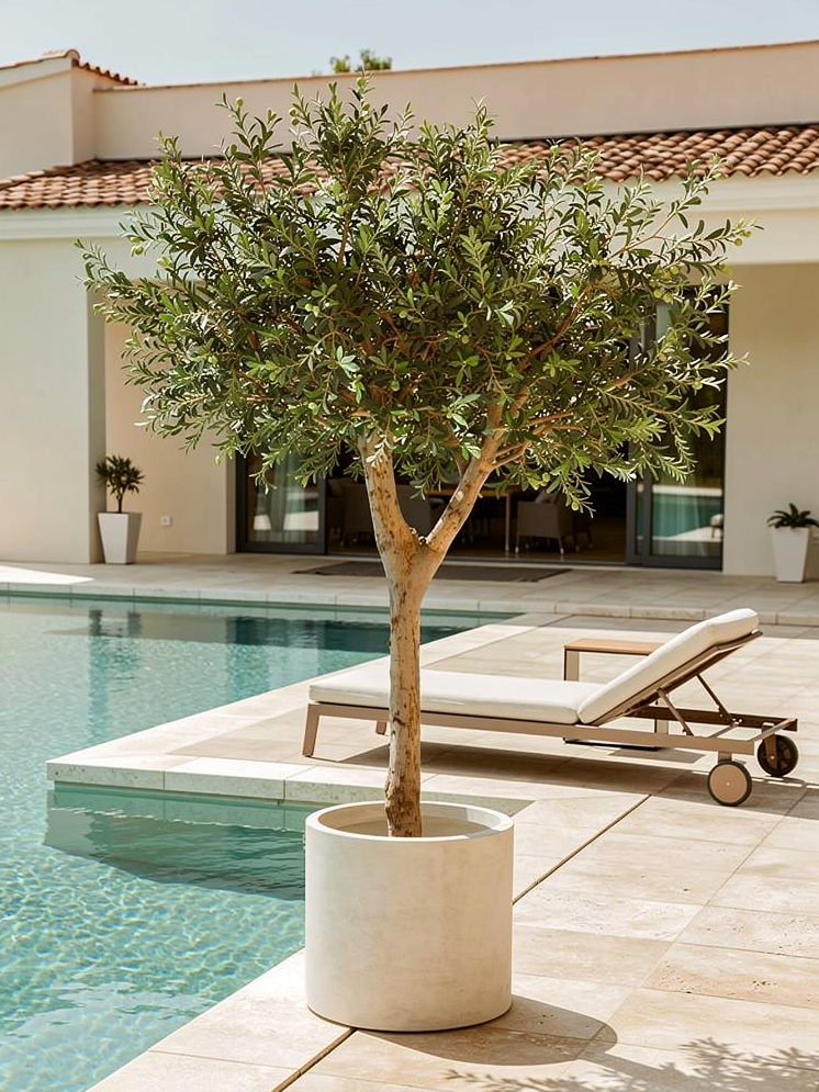 Kunst olijfboom LOUA 260cm in ronde plantenpot – luxe kunstplant van Atelier Leafs
