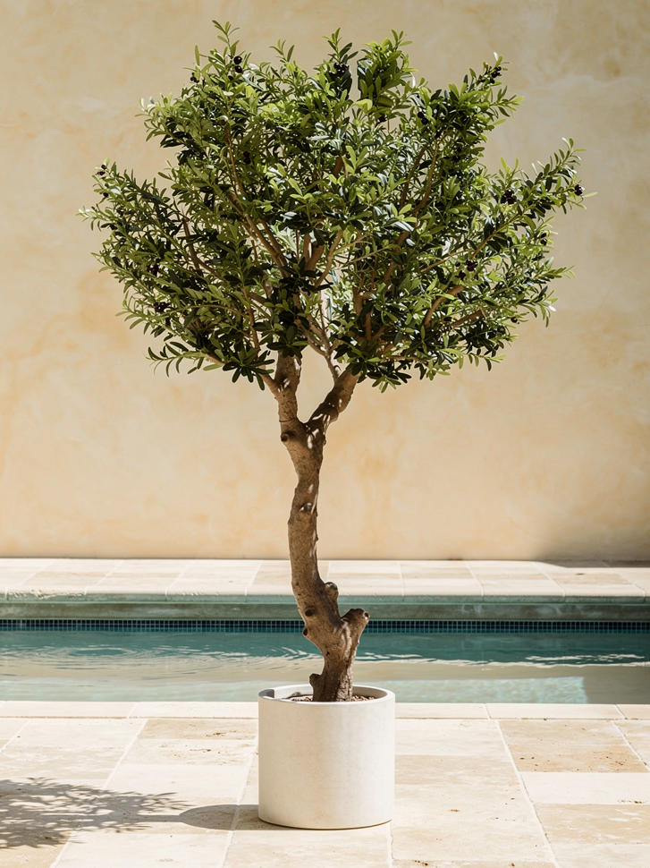 Kunst olijfboom met olijven MARJOLEIN 270cm – statement piece van Atelier Leafs