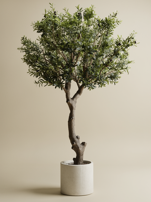 Kunst olijfboom MARJOLEIN 270cm, aanzicht van de volledige boom